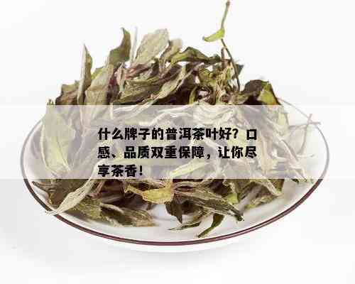 什么牌子的普洱茶叶好？口感、品质双重保障，让你尽享茶香！