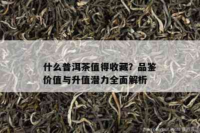 什么普洱茶值得收藏？品鉴价值与升值潜力全面解析