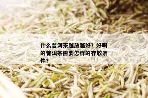 什么普洱茶越放越好？好喝的普洱茶需要怎样的存放条件？