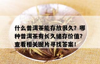 什么普洱茶能存放很久？哪种普洱茶有长久储存价值？查看相关图片寻找答案！