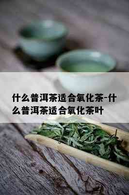 什么普洱茶适合氧化茶-什么普洱茶适合氧化茶叶