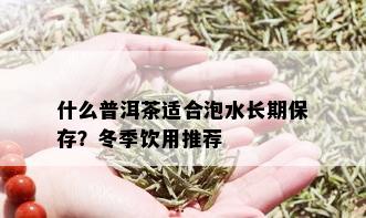 什么普洱茶适合泡水长期保存？冬季饮用推荐