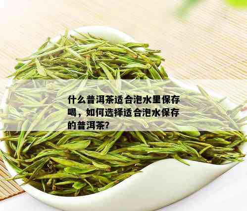 什么普洱茶适合泡水里保存喝，如何选择适合泡水保存的普洱茶？