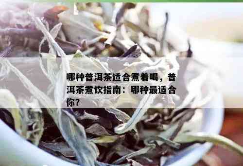 哪种普洱茶适合煮着喝，普洱茶煮饮指南：哪种最适合你？