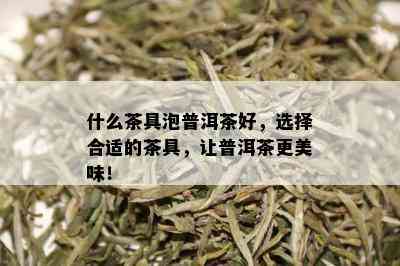 什么茶具泡普洱茶好，选择合适的茶具，让普洱茶更美味！