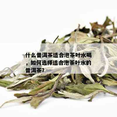 什么普洱茶适合泡茶叶水喝，如何选择适合泡茶叶水的普洱茶？