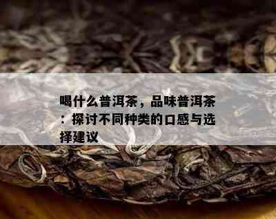 喝什么普洱茶，品味普洱茶：探讨不同种类的口感与选择建议