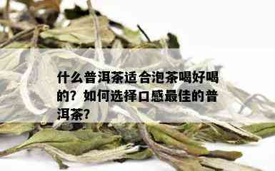 什么普洱茶适合泡茶喝好喝的？如何选择口感更佳的普洱茶？