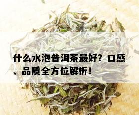 什么水泡普洱茶更好？口感、品质全方位解析！