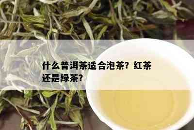 什么普洱茶适合泡茶？红茶还是绿茶？