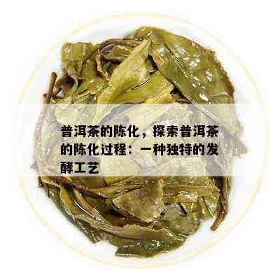 普洱茶的陈化，探索普洱茶的陈化过程：一种独特的发酵工艺