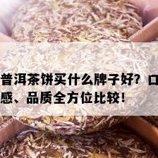 普洱茶饼买什么牌子好？口感、品质全方位比较！