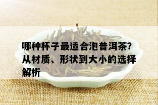 哪种杯子最适合泡普洱茶？从材质、形状到大小的选择解析