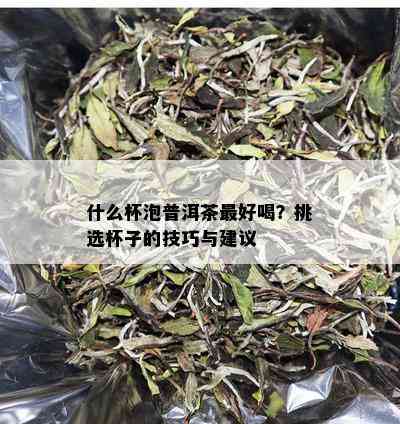 什么杯泡普洱茶更好喝？挑选杯子的技巧与建议