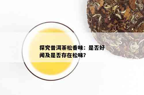 探究普洱茶松香味：是否好闻及是否存在松味？