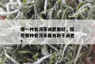 哪一种普洱茶减肥更好，探究哪种普洱茶最有助于减肥？