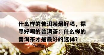 什么样的普洱茶更好喝，探寻好喝的普洱茶：什么样的普洱茶才是更好的选择？