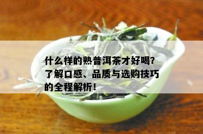 什么样的熟普洱茶才好喝？了解口感、品质与选购技巧的全程解析！