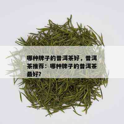 哪种牌子的普洱茶好，普洱茶推荐：哪种牌子的普洱茶更好？