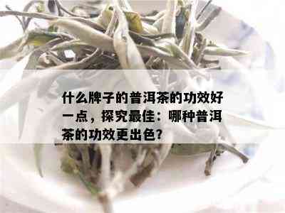 什么牌子的普洱茶的功效好一点，探究更佳：哪种普洱茶的功效更出色？