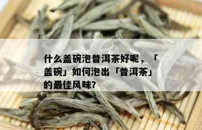 什么盖碗泡普洱茶好呢，「盖碗」如何泡出「普洱茶」的更佳风味？