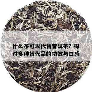 什么茶可以代替普洱茶？探讨多种替代品的功效与口感