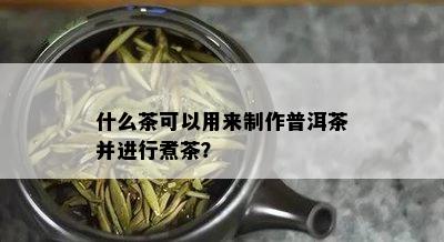 什么茶可以用来制作普洱茶并进行煮茶？