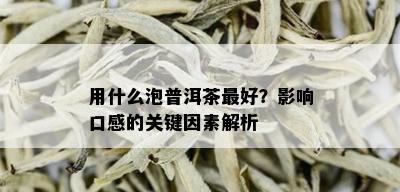 用什么泡普洱茶更好？影响口感的关键因素解析