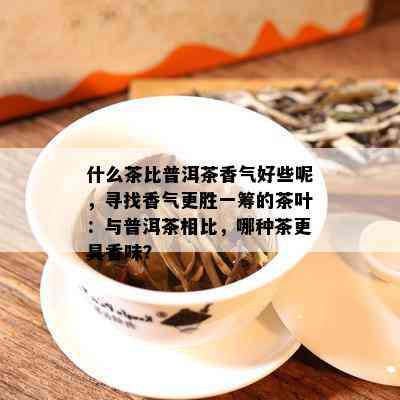 什么茶比普洱茶香气好些呢，寻找香气更胜一筹的茶叶：与普洱茶相比，哪种茶更具香味？