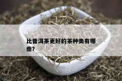 比普洱茶更好的茶种类有哪些？