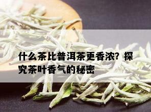 什么茶比普洱茶更香浓？探究茶叶香气的秘密