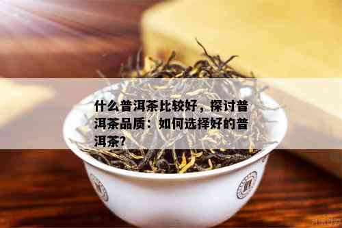 什么普洱茶比较好，探讨普洱茶品质：如何选择好的普洱茶？