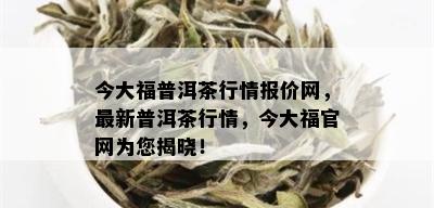 今大福普洱茶行情报价网，最新普洱茶行情，今大福官网为您揭晓！