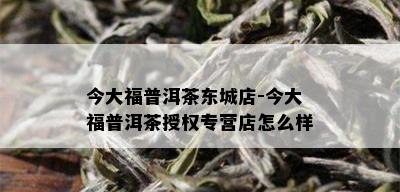 今大福普洱茶东城店-今大福普洱茶授权专营店怎么样