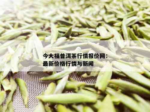 今大福普洱茶行情报价网：最新价格行情与新闻