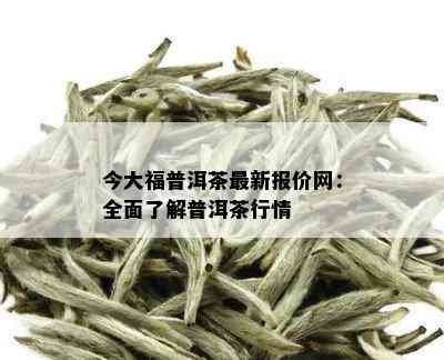 今大福普洱茶最新报价网：全面了解普洱茶行情