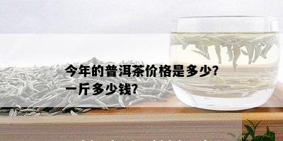 今年的普洱茶价格是多少？一斤多少钱？