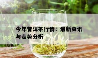 今年普洱茶行情：最新资讯与走势分析