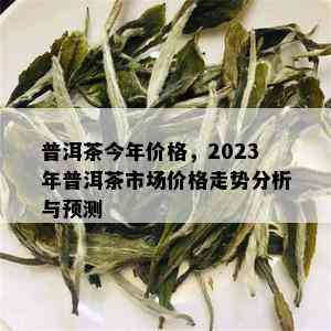 普洱茶今年价格，2023年普洱茶市场价格走势分析与预测