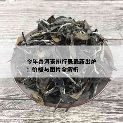 今年普洱茶排行表最新出炉：价格与图片全解析