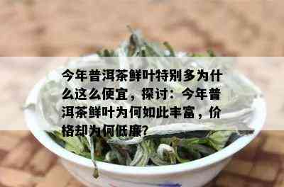 今年普洱茶鲜叶特别多为什么这么便宜，探讨：今年普洱茶鲜叶为何如此丰富，价格却为何低廉？