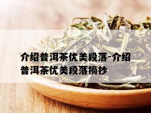 介绍普洱茶优美段落-介绍普洱茶优美段落摘抄