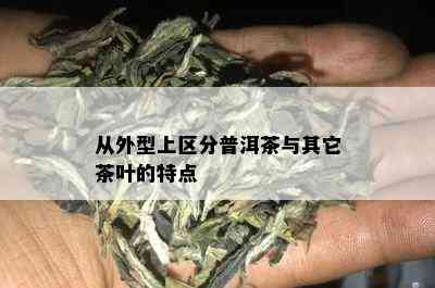 从外型上区分普洱茶与其它茶叶的特点