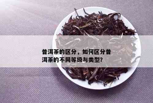 普洱茶的区分，如何区分普洱茶的不同等级与类型？