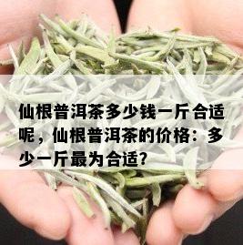 仙根普洱茶多少钱一斤合适呢，仙根普洱茶的价格：多少一斤最为合适？