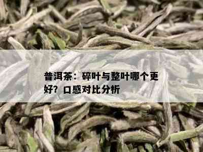 普洱茶：碎叶与整叶哪个更好？口感对比分析