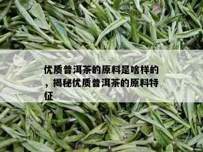 优质普洱茶的原料是啥样的，揭秘优质普洱茶的原料特征