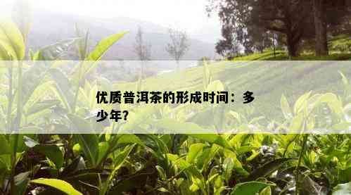 优质普洱茶的形成时间：多少年？