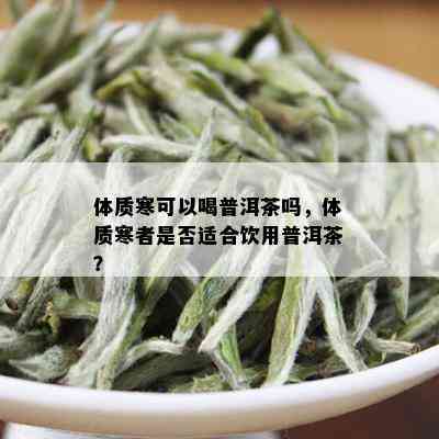 体质寒可以喝普洱茶吗，体质寒者是否适合饮用普洱茶？