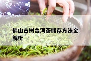 佛山古树普洱茶储存方法全解析